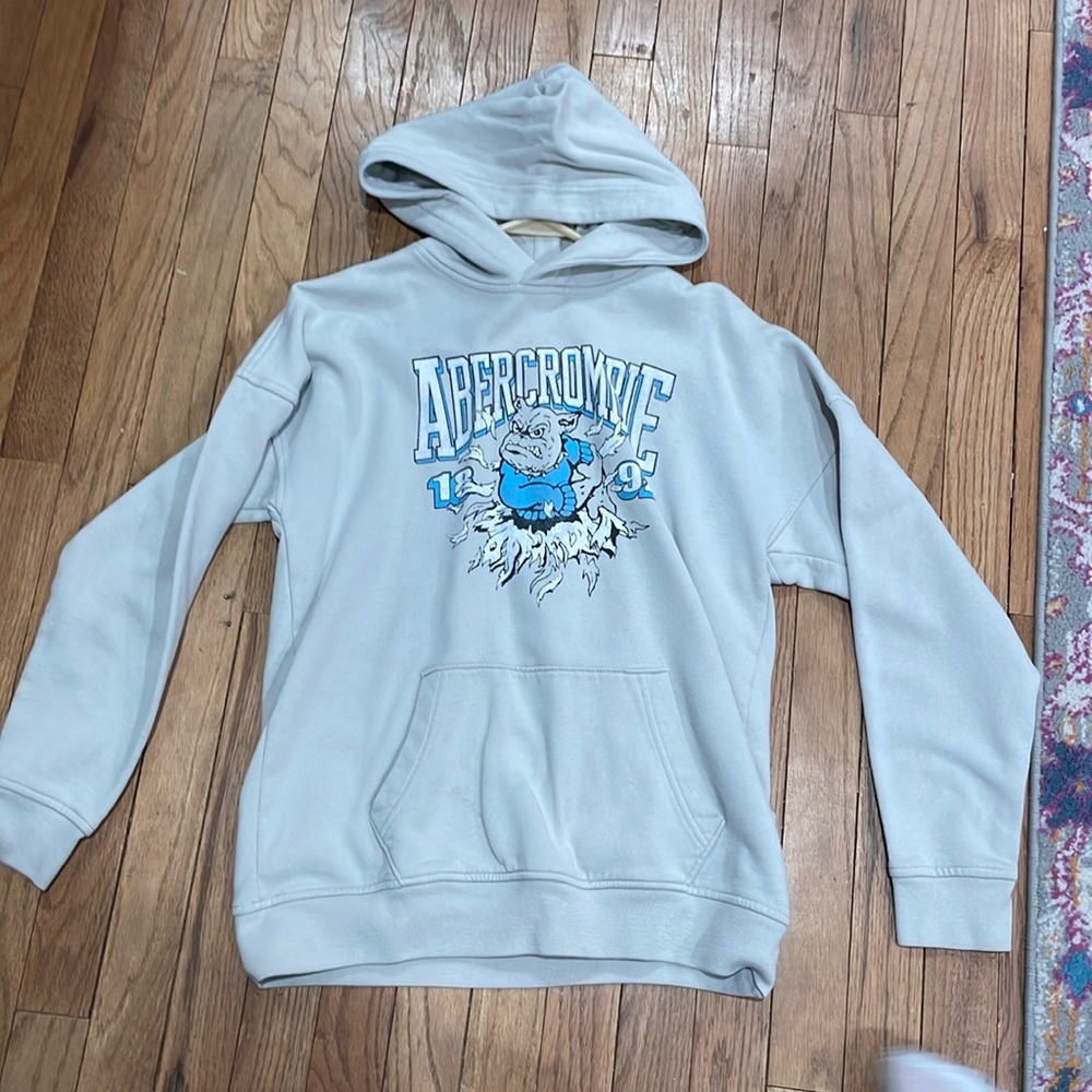 abercrombie and fitch hoodie